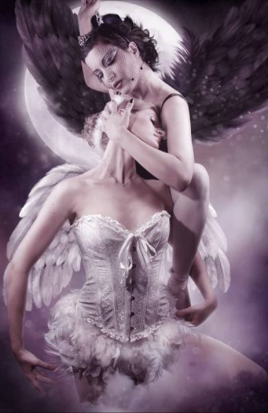 Photograph John Tsilidis Black Swan 1 on One Eyeland
